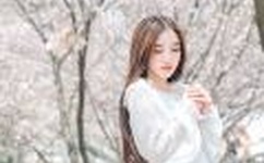 偶像宣言国语版